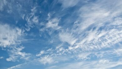 cloud based whatsapp crm